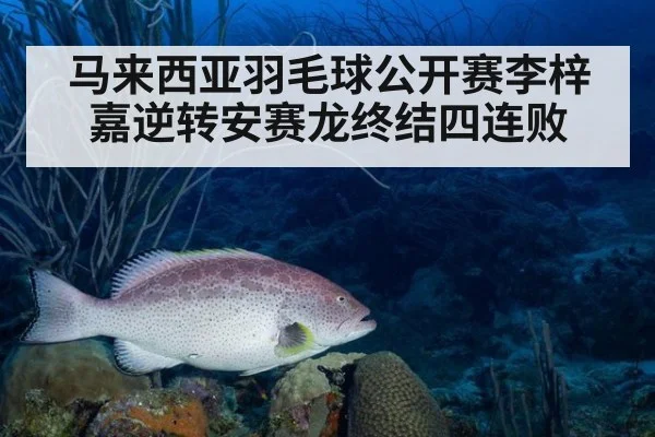 马来西亚羽毛球公开赛李梓嘉逆转安赛龙终结四连败